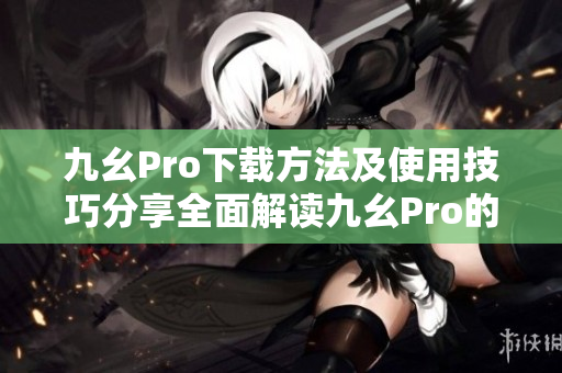 九幺Pro下载方法及使用技巧分享全面解读九幺Pro的安装与运行指南