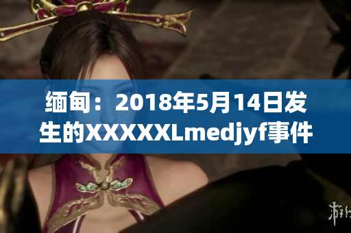 缅甸：2018年5月14日发生的XXXXXLmedjyf事件：回顾与反思