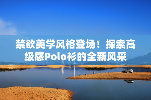 禁欲美学风格登场！探索高级感Polo衫的全新风采