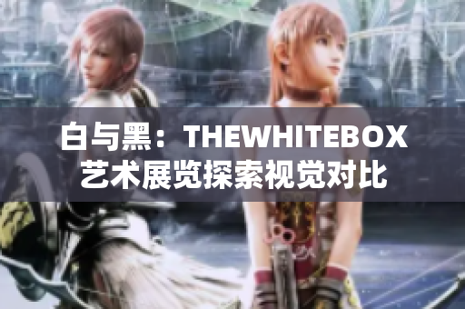 白与黑：THEWHITEBOX艺术展览探索视觉对比