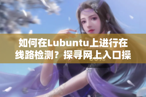 如何在Lubuntu上进行在线路检测？探寻网上入口操作指南