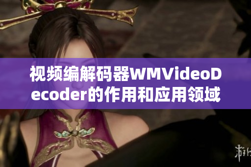 视频编解码器WMVideoDecoder的作用和应用领域