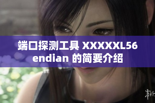 端口探测工具 XXXXXL56endian 的简要介绍