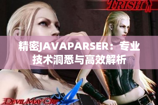 精密JAVAPARSER：专业技术洞悉与高效解析