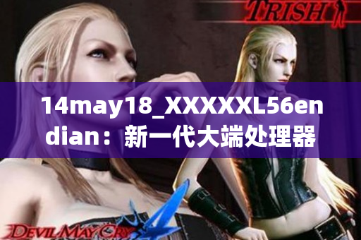 14may18_XXXXXL56endian：新一代大端处理器简介