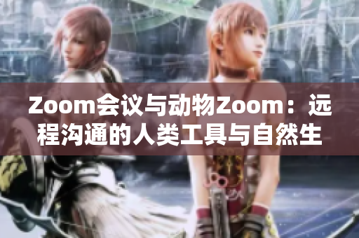 Zoom会议与动物Zoom：远程沟通的人类工具与自然生物的奇妙互动