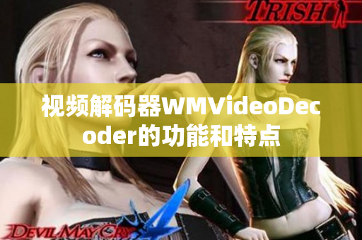 视频解码器WMVideoDecoder的功能和特点