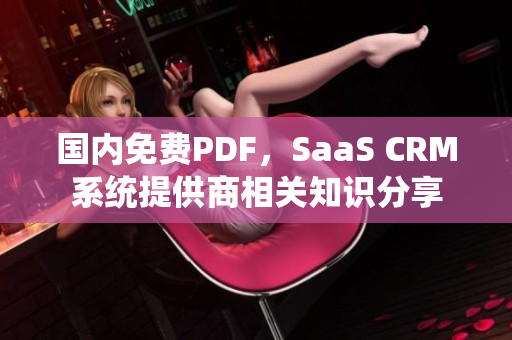 国内免费PDF，SaaS CRM系统提供商相关知识分享