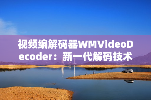 视频编解码器WMVideoDecoder：新一代解码技术的应用