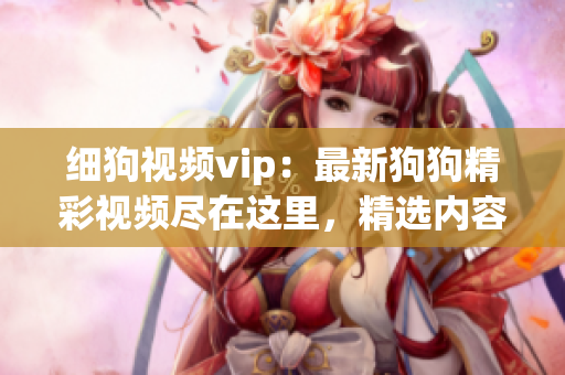 细狗视频vip：最新狗狗精彩视频尽在这里，精选内容畅享会员专属服务