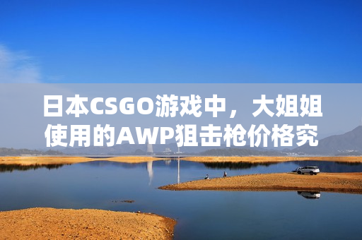 日本CSGO游戏中，大姐姐使用的AWP狙击枪价格究竟是多少？