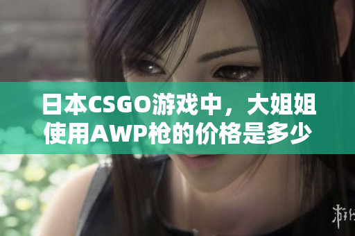 日本CSGO游戏中，大姐姐使用AWP枪的价格是多少？