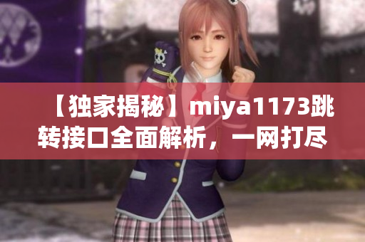 【独家揭秘】miya1173跳转接口全面解析，一网打尽实战技巧及使用方法