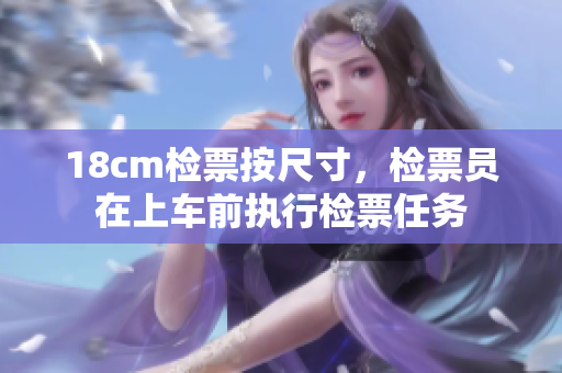 18cm检票按尺寸，检票员在上车前执行检票任务