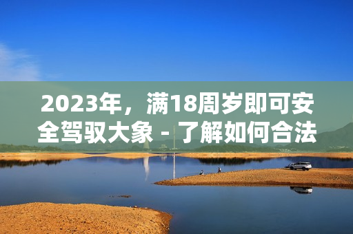 2023年，满18周岁即可安全驾驭大象 - 了解如何合法且负责地与大象互动