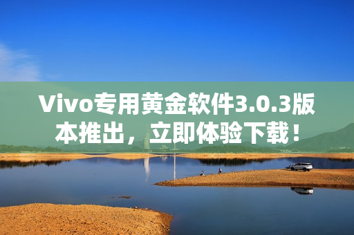 Vivo专用黄金软件3.0.3版本推出，立即体验下载！