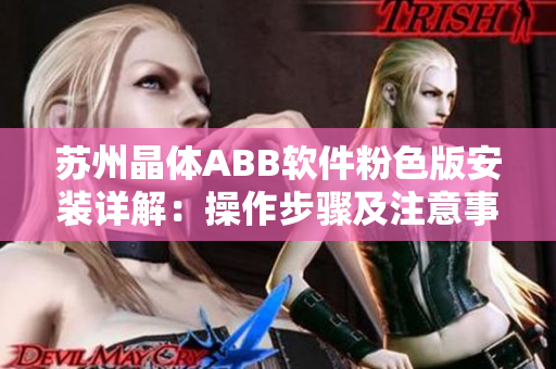 苏州晶体ABB软件粉色版安装详解：操作步骤及注意事项