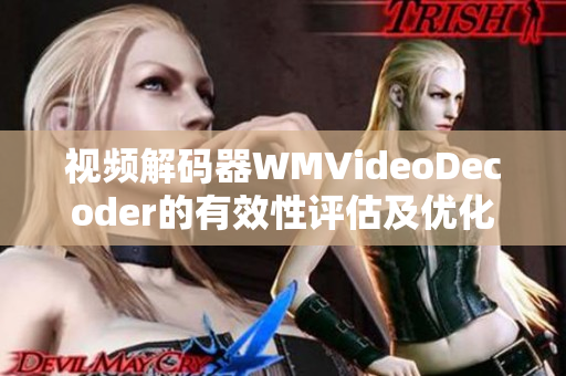 视频解码器WMVideoDecoder的有效性评估及优化方案