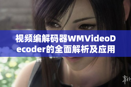 视频编解码器WMVideoDecoder的全面解析及应用实例