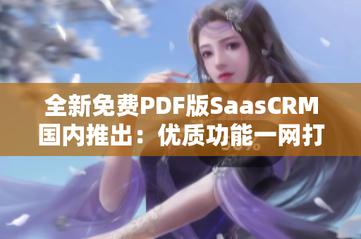 全新免费PDF版SaasCRM国内推出：优质功能一网打尽，效率提升无限可能