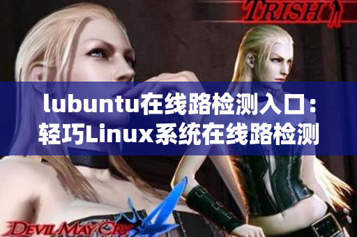 lubuntu在线路检测入口：轻巧Linux系统在线路检测入口