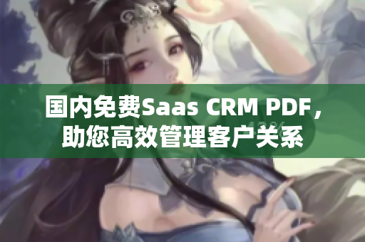 国内免费Saas CRM PDF，助您高效管理客户关系