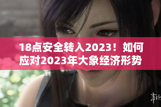 18点安全转入2023！如何应对2023年大象经济形势？