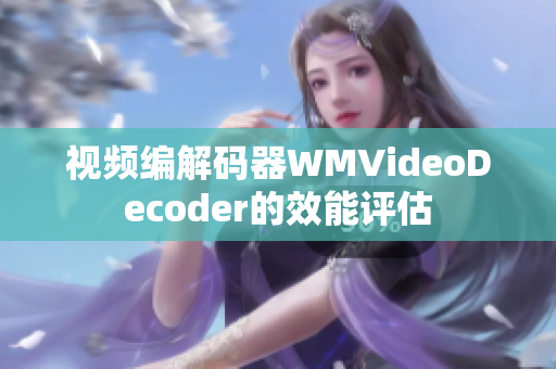 视频编解码器WMVideoDecoder的效能评估