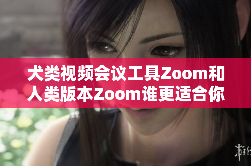 犬类视频会议工具Zoom和人类版本Zoom谁更适合你？