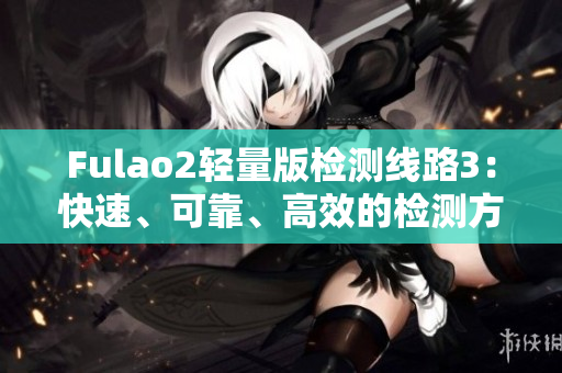 Fulao2轻量版检测线路3：快速、可靠、高效的检测方案