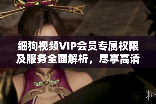 细狗视频VIP会员专属权限及服务全面解析，尽享高清视频畅快观影体验