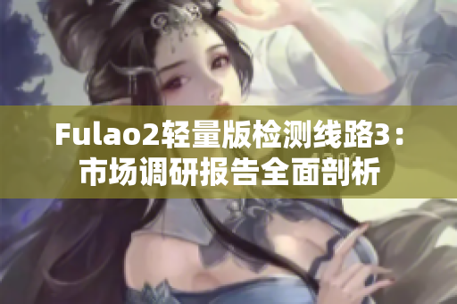 Fulao2轻量版检测线路3：市场调研报告全面剖析