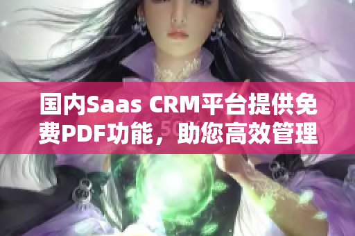 国内Saas CRM平台提供免费PDF功能，助您高效管理客户关系