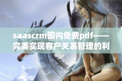 saascrm国内免费pdf——完美实现客户关系管理的利器