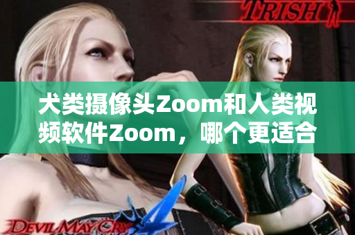 犬类摄像头Zoom和人类视频软件Zoom，哪个更适合您？