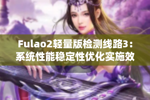 Fulao2轻量版检测线路3：系统性能稳定性优化实施效果解析