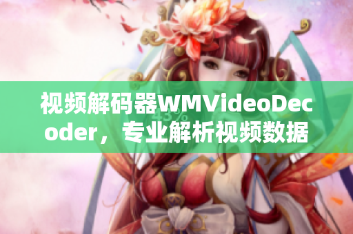 视频解码器WMVideoDecoder，专业解析视频数据