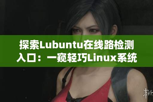 探索Lubuntu在线路检测入口：一窥轻巧Linux系统的网络连接兼容性