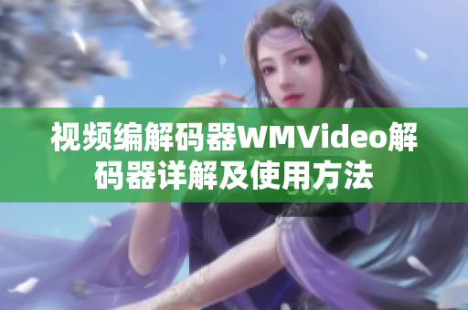 视频编解码器WMVideo解码器详解及使用方法