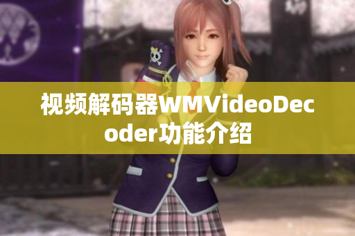 视频解码器WMVideoDecoder功能介绍