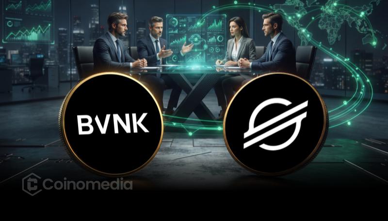 BVNK 新增 Stellar，支持跨境稳定币支付