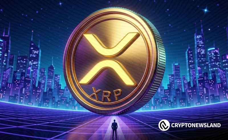XRP目标价2000美元，宏观逻辑持续强化
