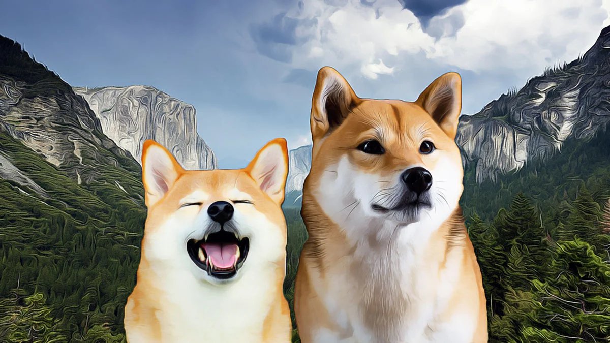 柴犬币市场趋势：动能发生转变