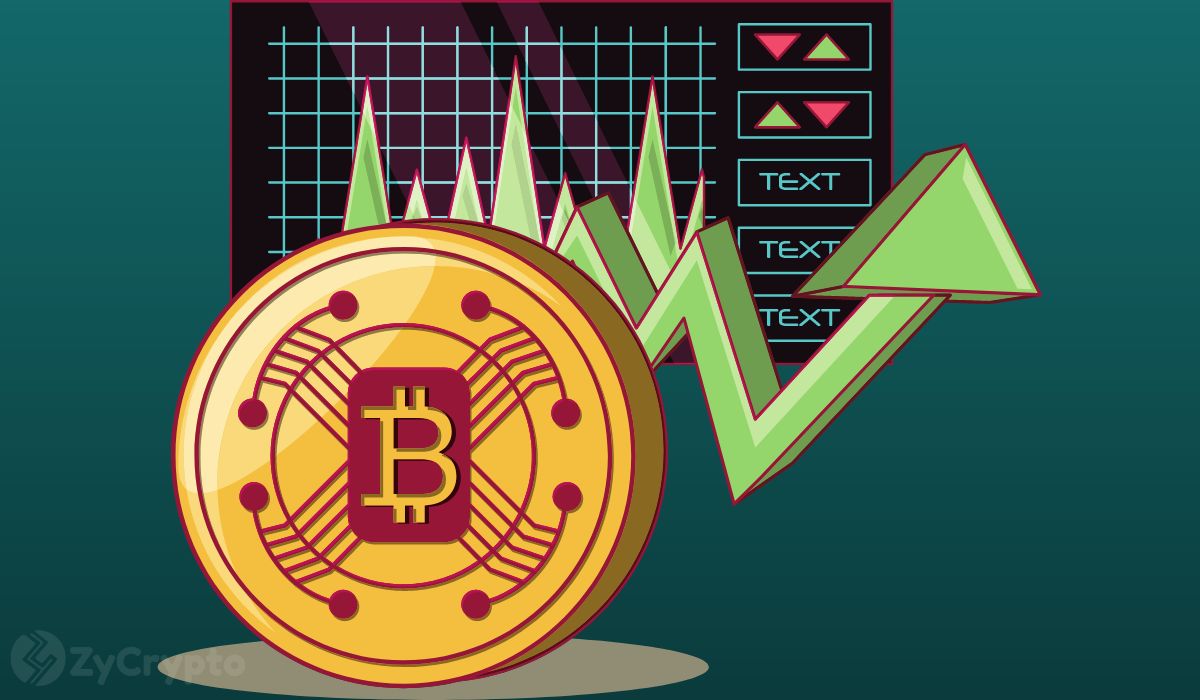 突发：比特币FOMO情绪自2024年以来首次升至最高水平