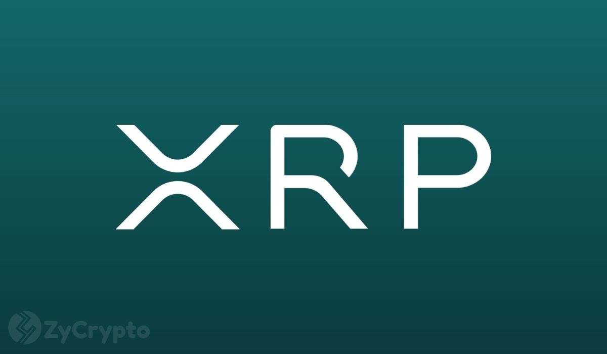“崩盘即将来临”，知名分析师警告XRP持有者前方有险，但30美元的暴涨可能随后而至