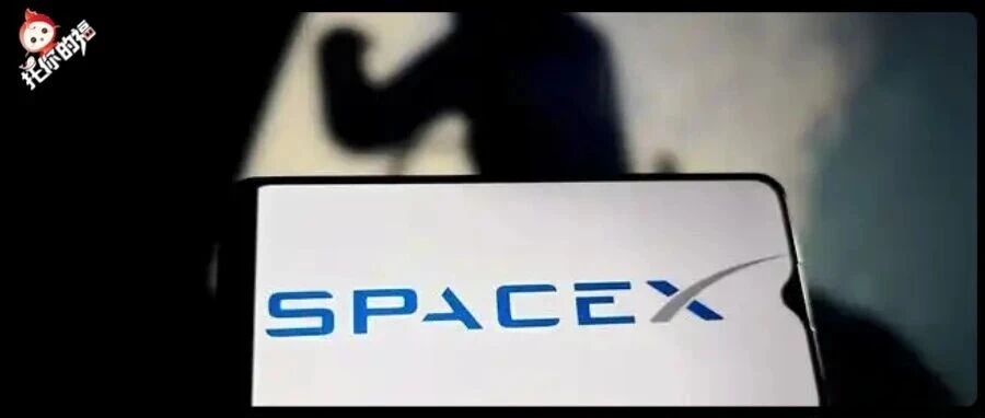 SpaceX员工母校大揭秘！藤校竟集体缺席？