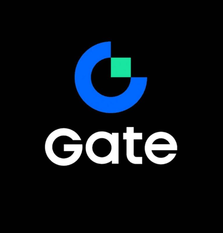 Gate（大门）：厚积薄发，多资产破圈
