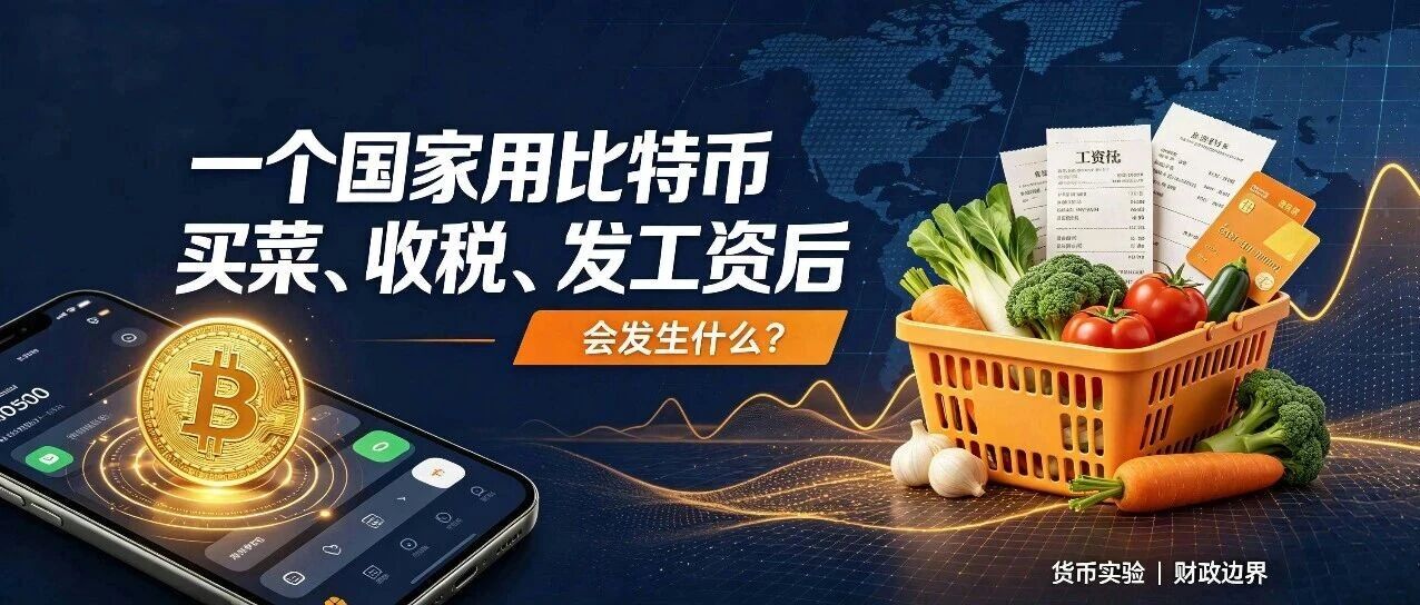 一个国家用比特币买菜、收税、发工资后会发生什么？