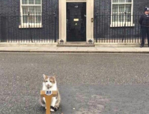 英国新首相伯纳姆首秀：将启动"40年来最大改革"，重塑经济模式